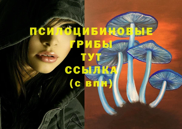 мдма Надым