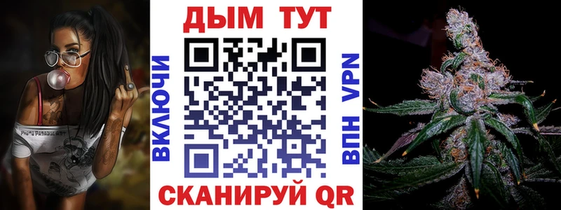 Каннабис сатива  купить наркотики сайты  Никольск 